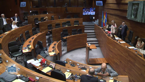 Pleno