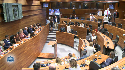 Pleno