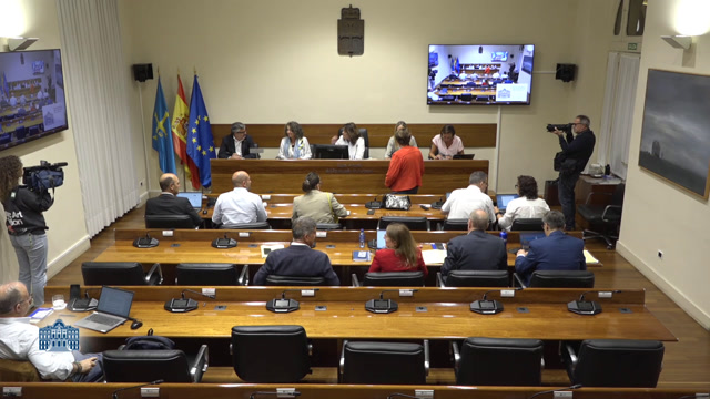 poster Comisión de Movilidad, Medio Ambiente y Gestión de Emergencias