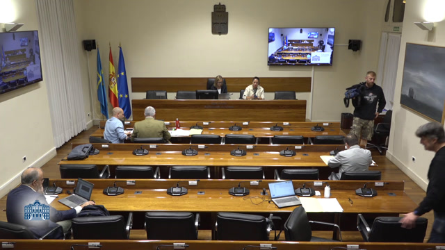 poster Comisión de Investigación accidente en la mina de Cerredo