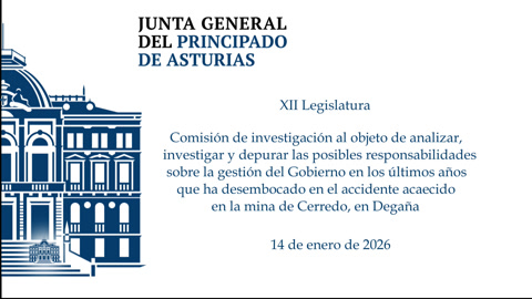 Comisión de Investigación accidente en la mina de Cerredo