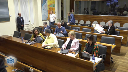 Comisión de Cultura, Política Llingüística y Deporte