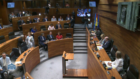 Pleno I
