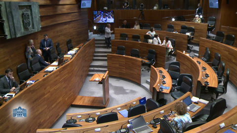 Pleno II