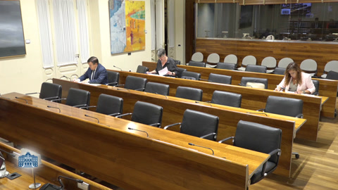 Comisión de Investigación accidente en la mina de Cerredo